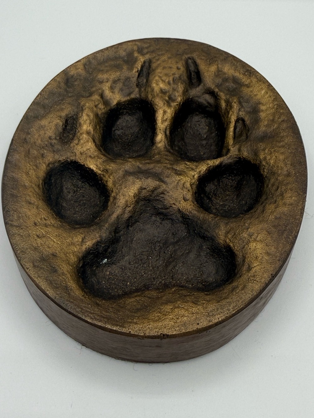 Vintage Denis Mathews Bronze Lion Paw Print Casting Kenya-Unmarked